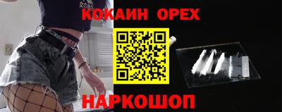 крисы Партизанск