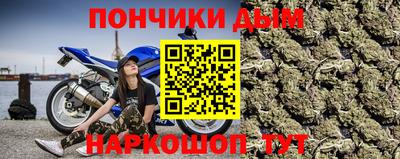 крисы Партизанск