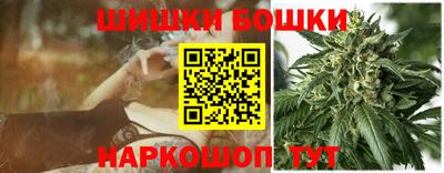 крисы Партизанск