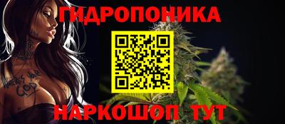 крисы Партизанск