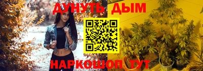 крисы Партизанск